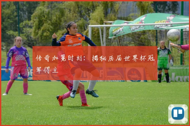 传奇加冕时刻：揭秘历届世界杯冠军得主