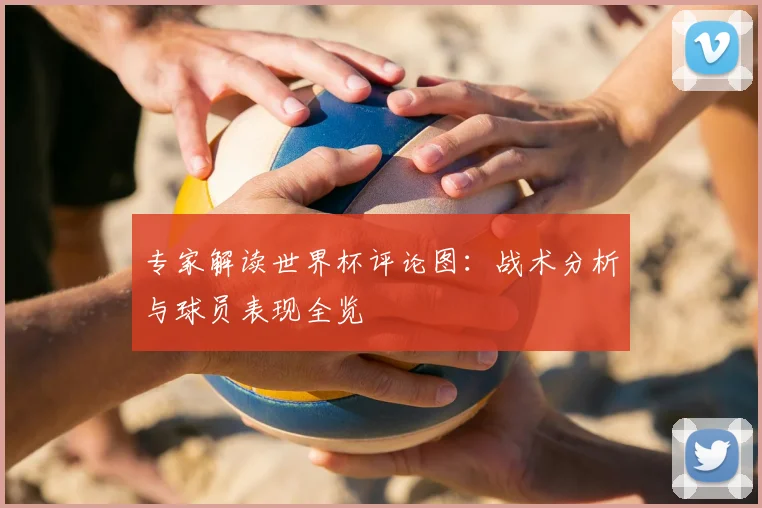 专家解读世界杯评论图:战术分析与球员表现全览