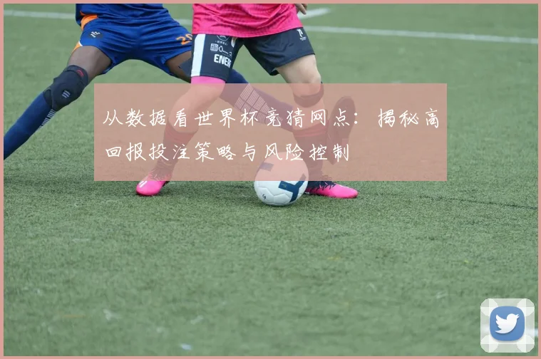 从数据看世界杯竞猜网点:揭秘高回报投注策略与风险控制