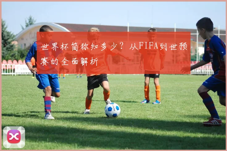 世界杯简称知多少？从FIFA到世预赛的全面解析