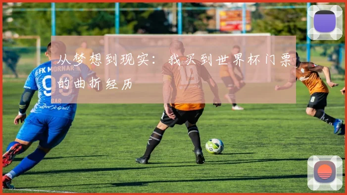 从梦想到现实:我买到世界杯门票的曲折经历