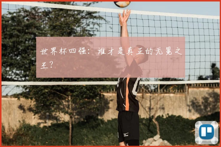 世界杯四强:谁才是真正的无冕之王?