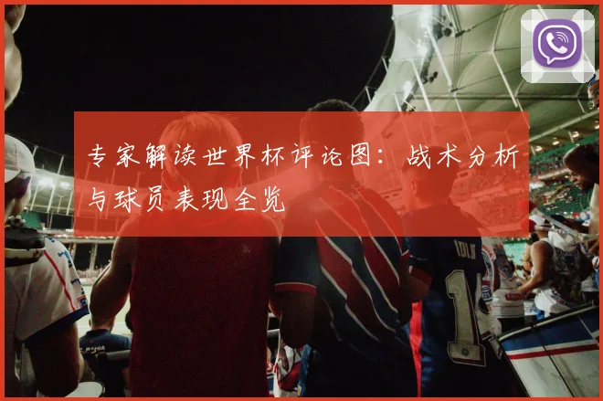专家解读世界杯评论图：战术分析与球员表现全览