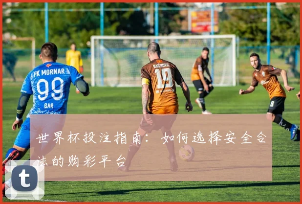 世界杯投注指南:如何选择安全合法的购彩平台