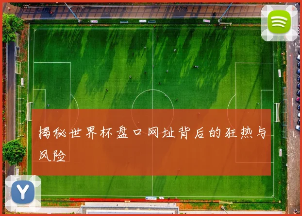 揭秘世界杯盘口网址背后的狂热与风险