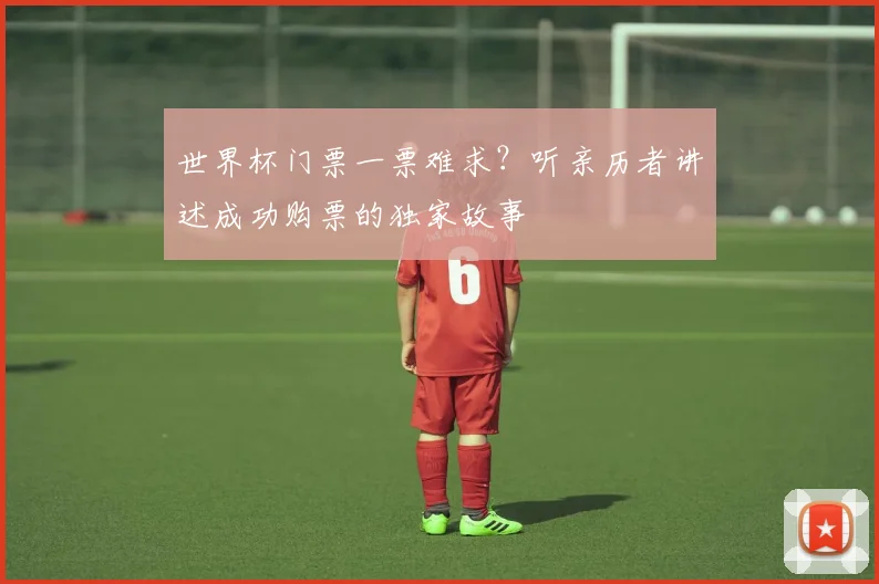 世界杯门票一票难求?听亲历者讲述成功购票的独家故事