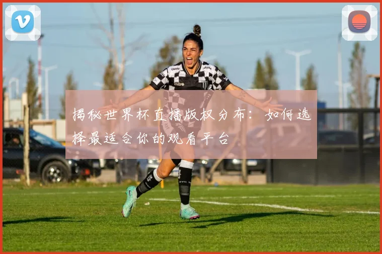 揭秘世界杯直播版权分布：如何选择最适合你的观看平台